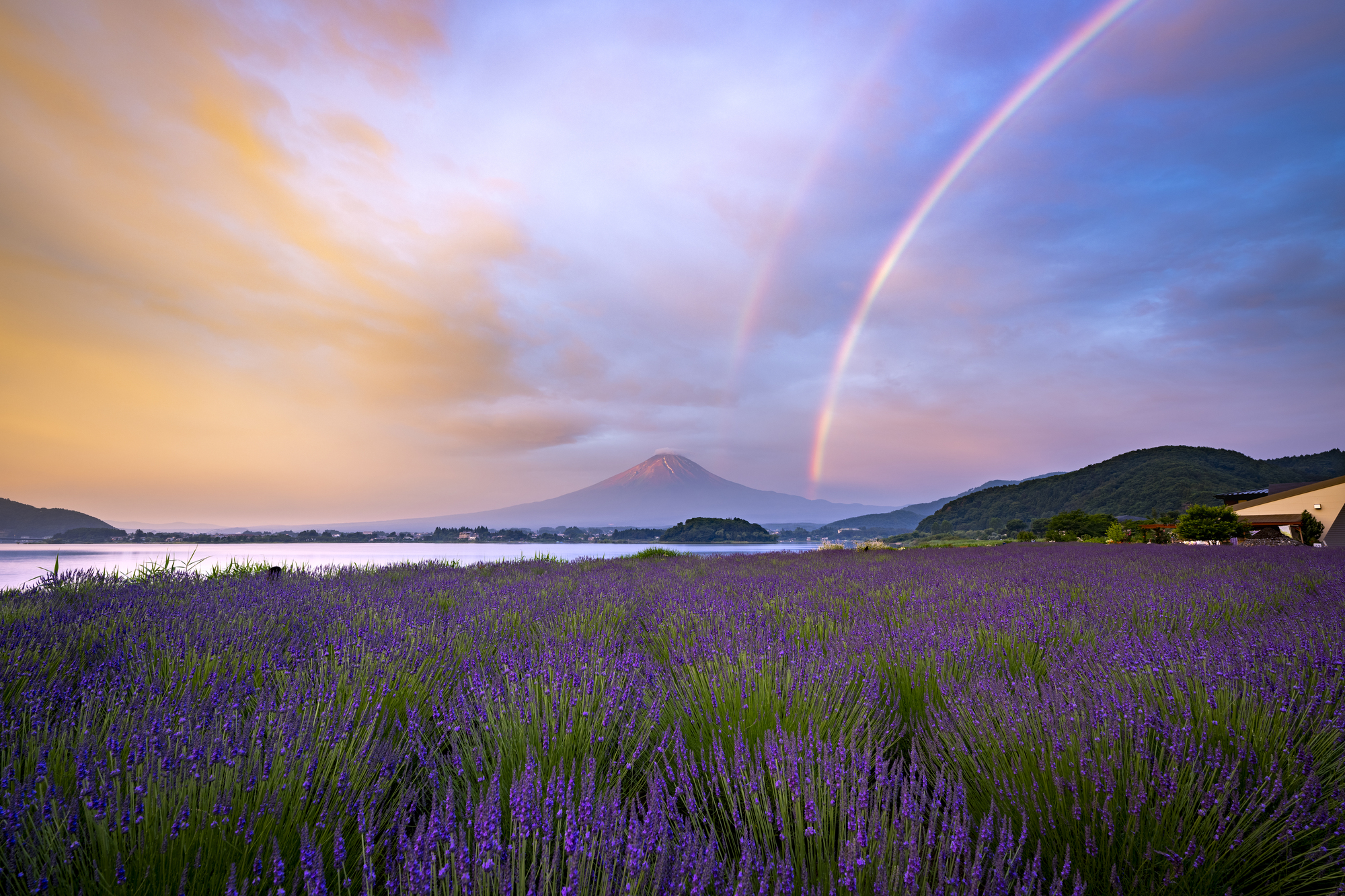 富士山の魅力を徹底解説！基本情報から絶景スポットまで | JAPANOPIA FUJI +