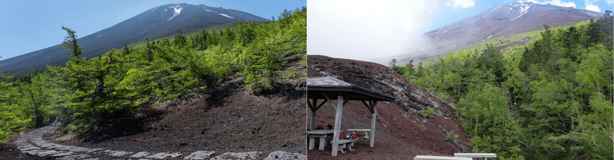 fuji_subaru_line_1day_16