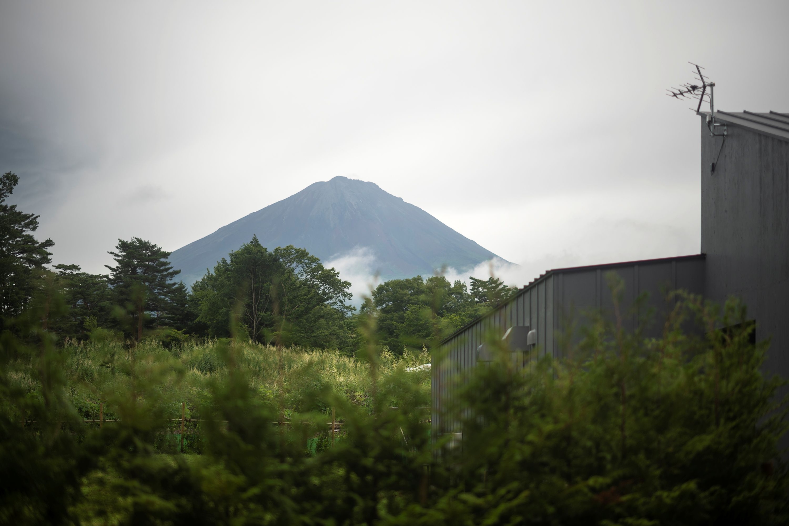 宿から望む朝の富士山